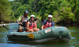 Sloths tour (nature habitat) and wild life