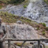 Sloths wildlife tour and volcano