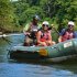 Sloths tour (nature habitat) and wild life