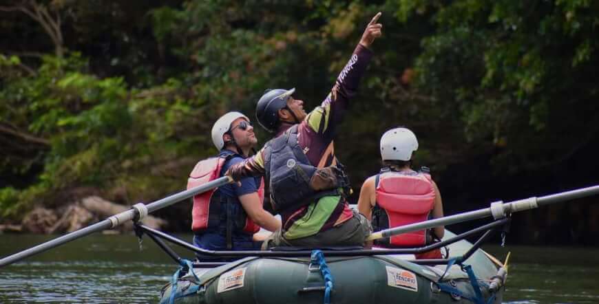 Sloths tour (nature habitat) and wild life