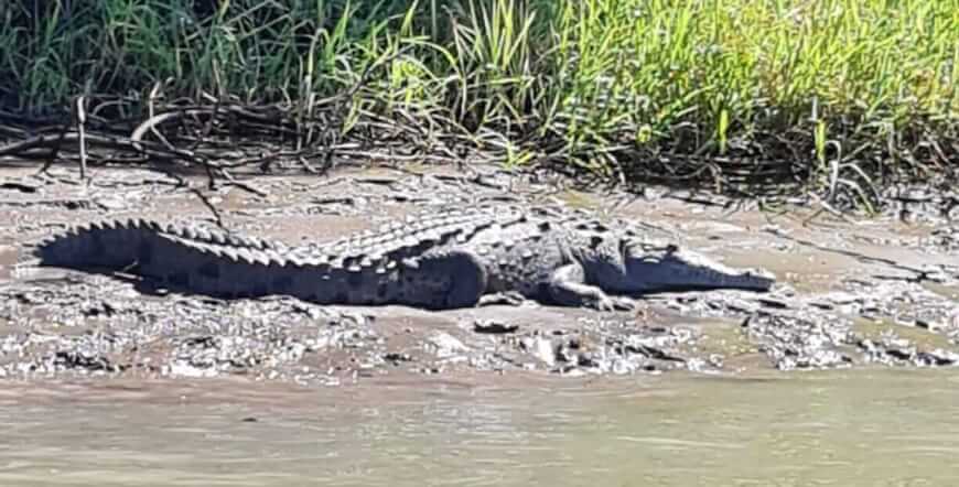 Palo verde national park